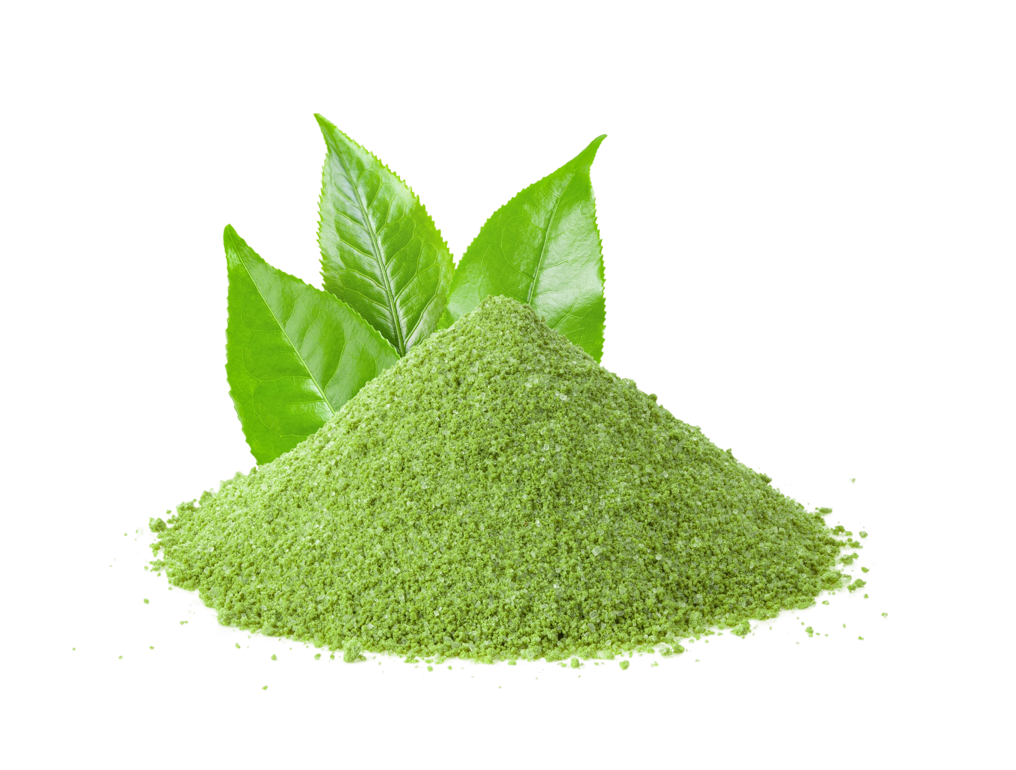 Green Tea Extract