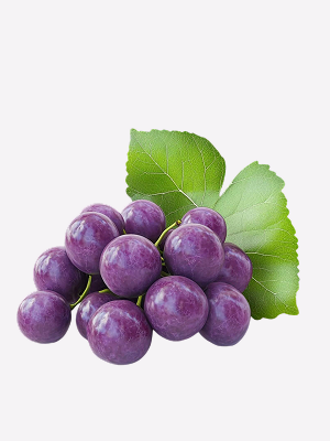 Resveratrol